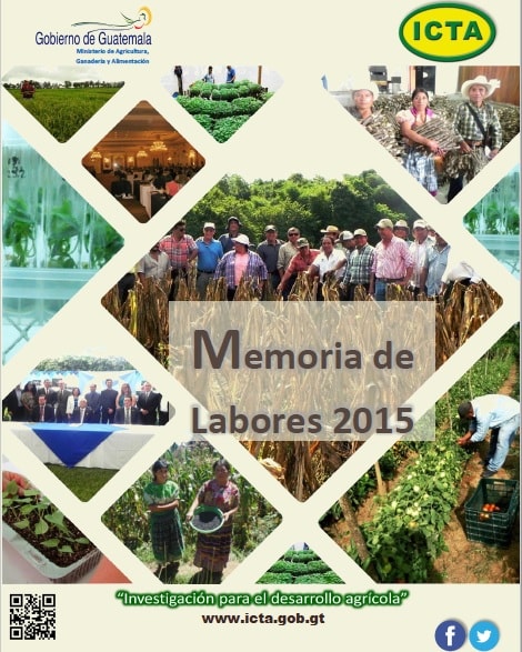 Memoria de Labores ICTA 2015